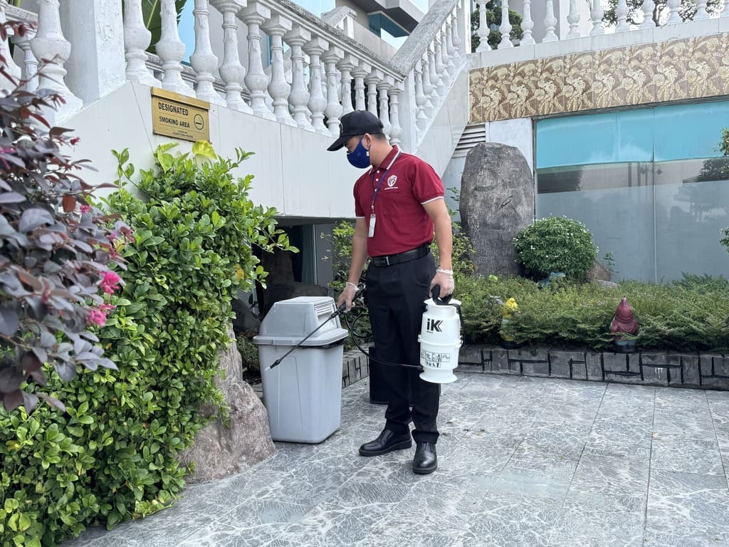Tác hại của Ruồi đối với công trình và doanh nghiệp